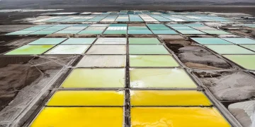 How Green Tech Is Fueling a New Environmental Crisis in Chile’s Lithium Fields