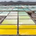 How Green Tech Is Fueling a New Environmental Crisis in Chile’s Lithium Fields