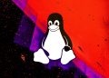 Linux vulnerability